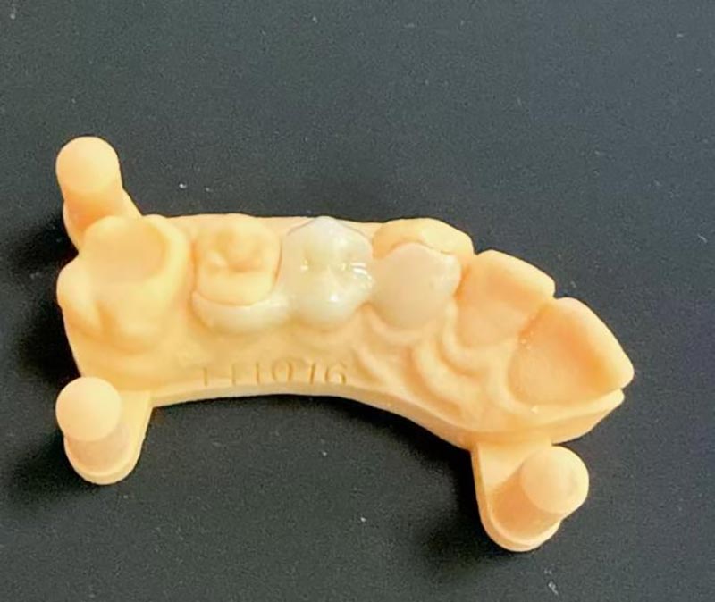 آنچه باید درباره پل های مریلند بدانید؟